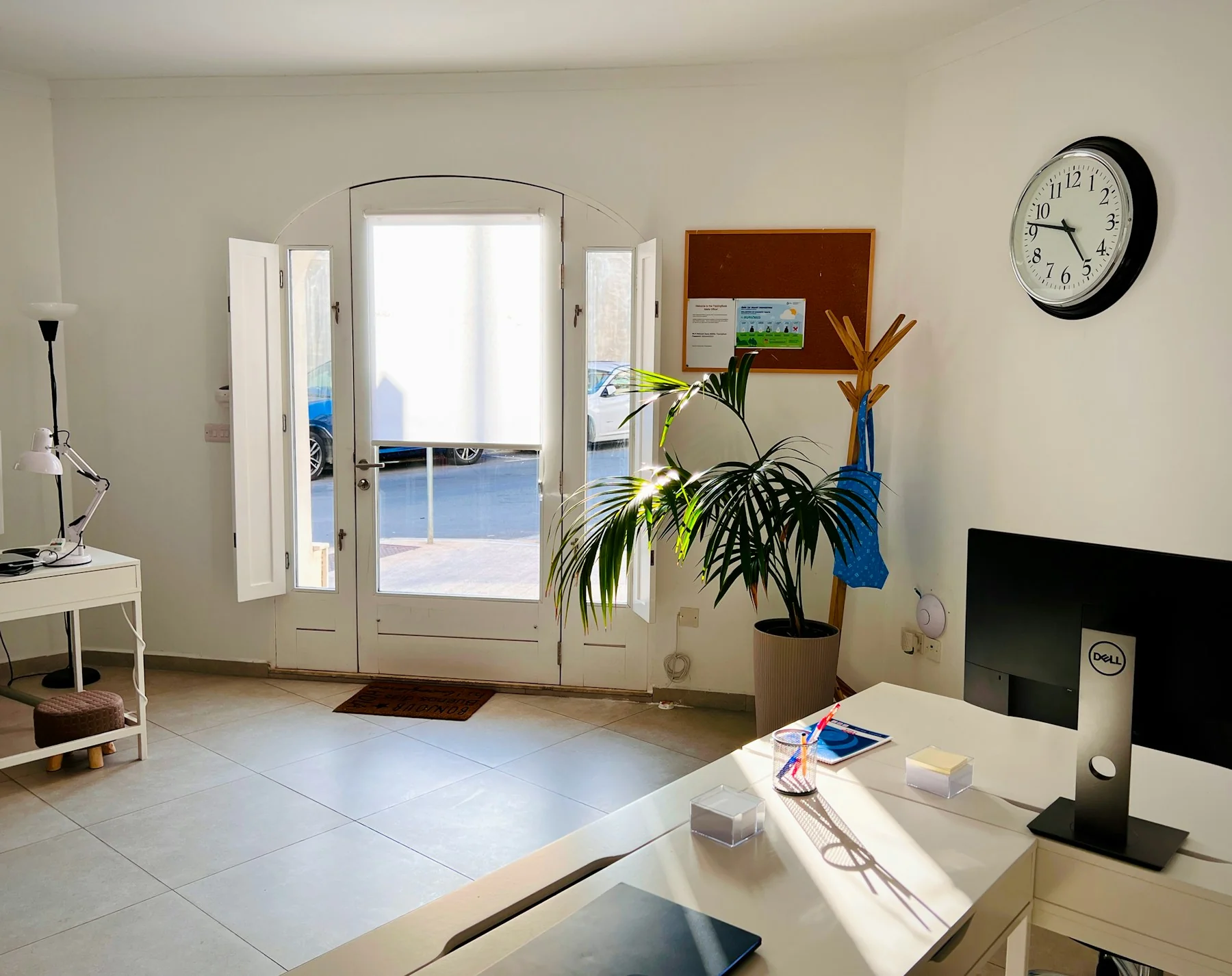 Bright office interior with natural light and an indoor plant